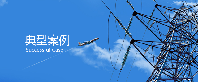 典型案例